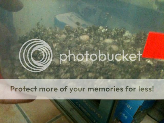 photo2-9.jpg