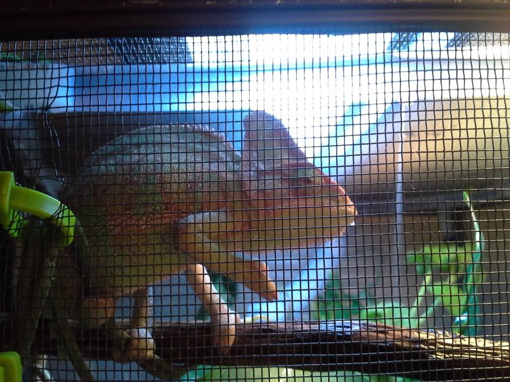 20130508_185751.jpg