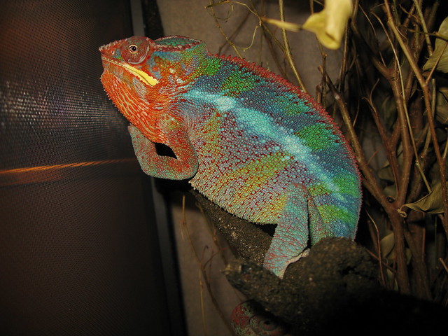 4299537366_eeba530822_z.jpg
