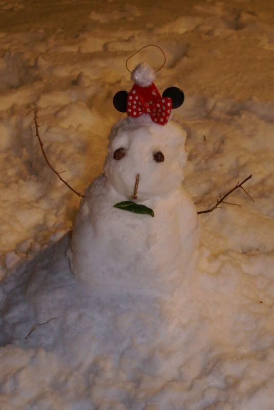 snow038.jpg