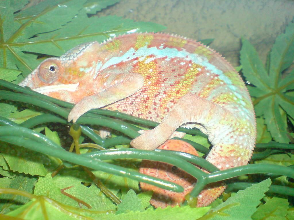 DSC01752.jpg