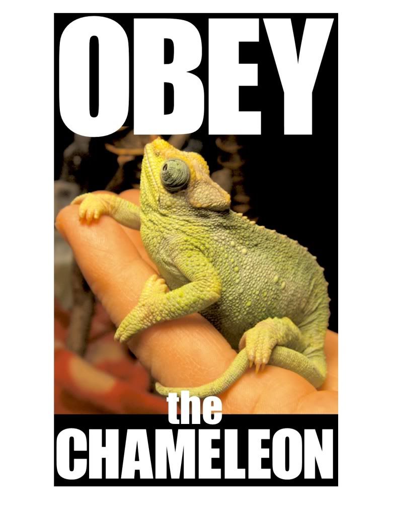 Obey1.jpg