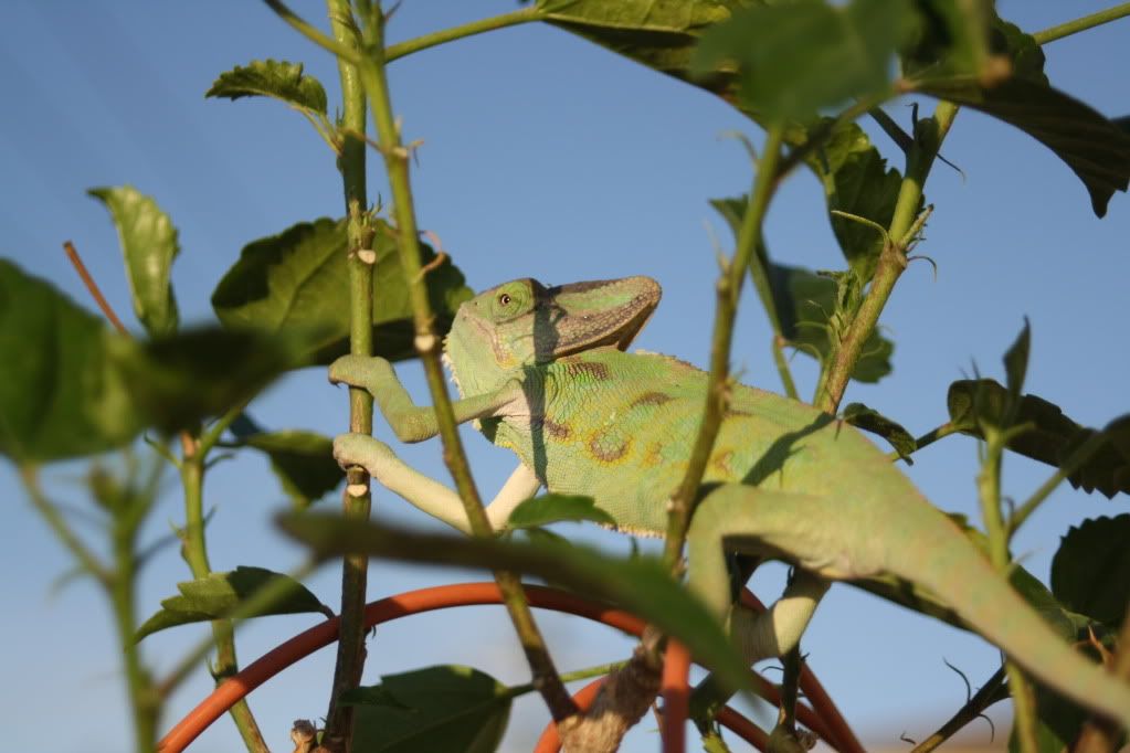 20110804_35.jpg
