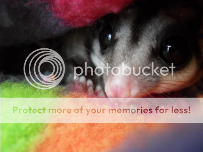010809LovelyBubble.jpg