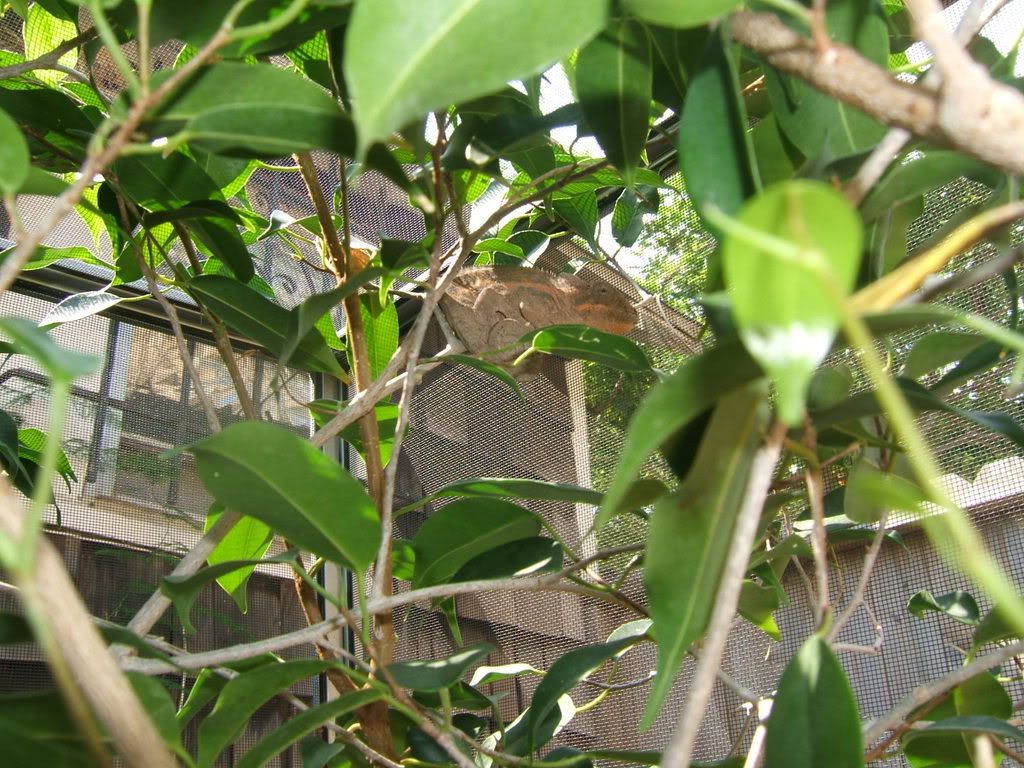 DSCF7545.jpg