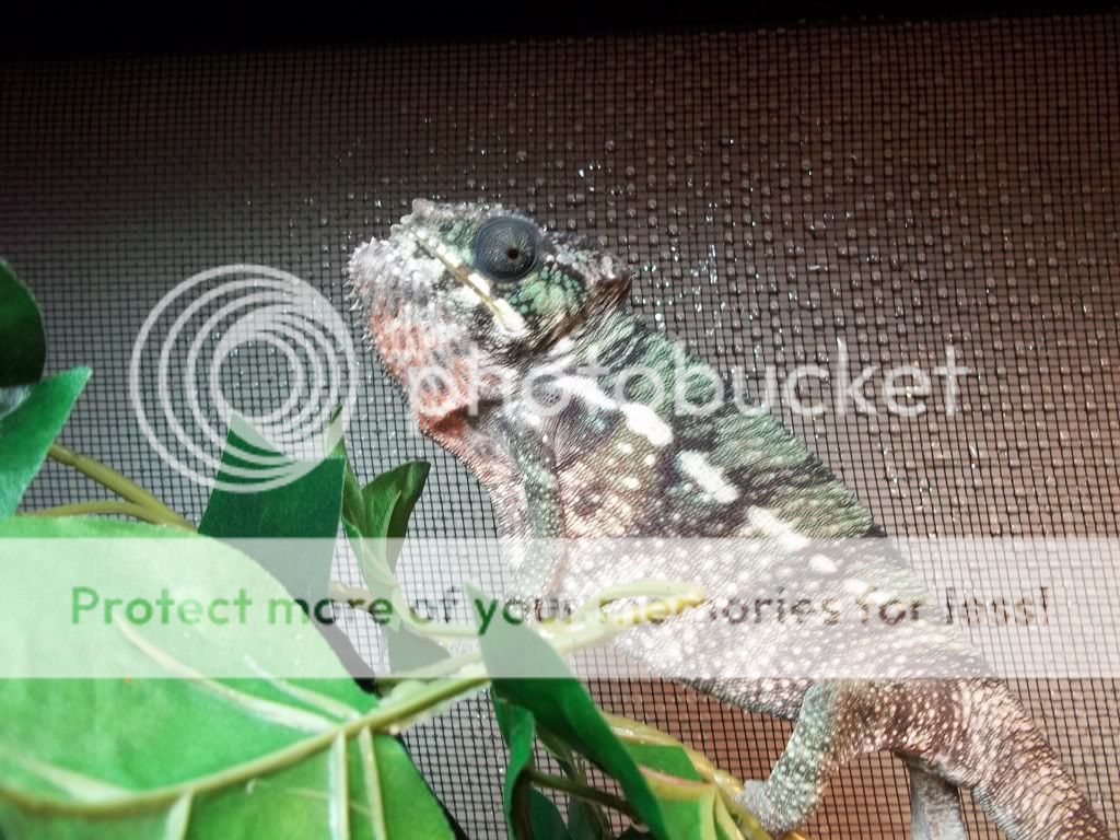 51259729.jpg
