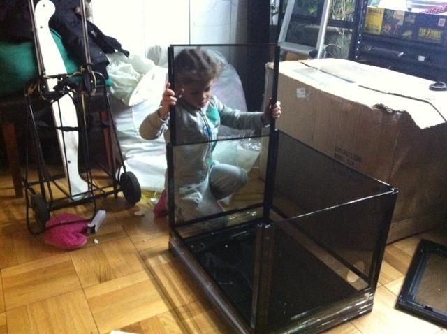 DIY2.jpg