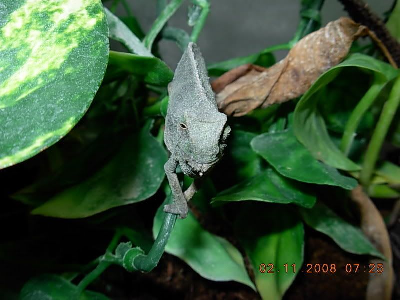 DSCN0491.jpg