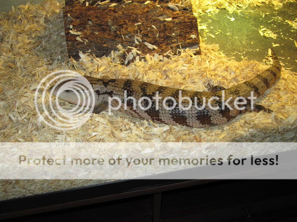 November2010216.jpg