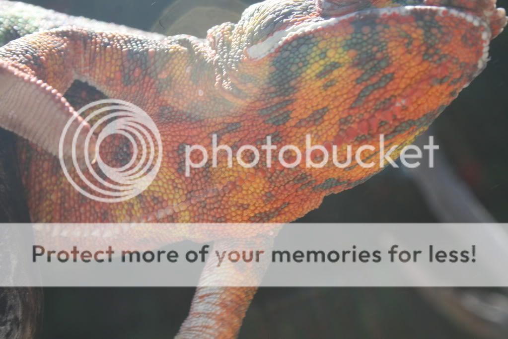 eospics9-19-09068.jpg