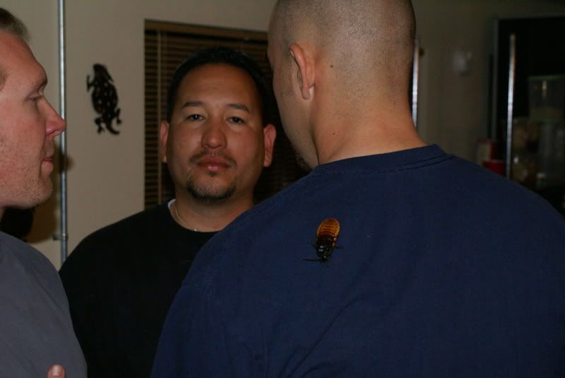 DSC03388.jpg