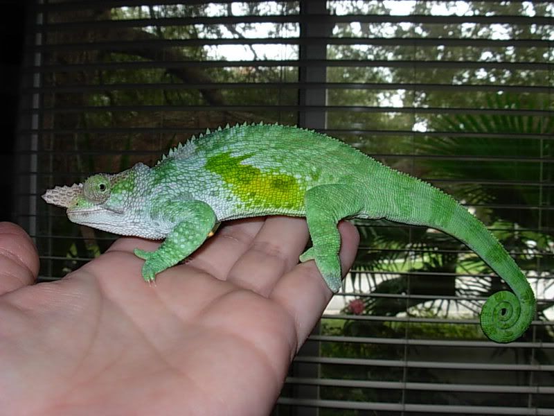 DSCN2997.jpg