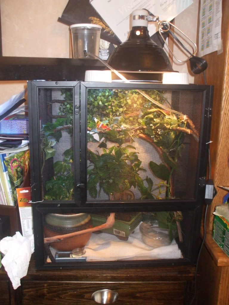 DSCF4528.jpg