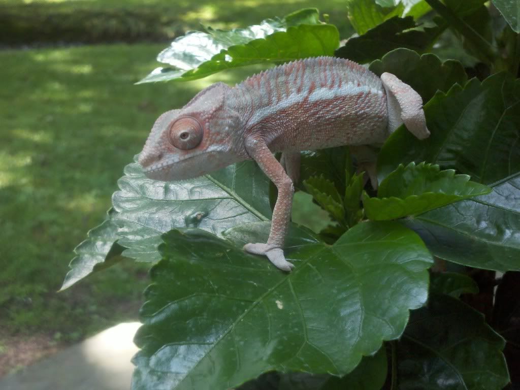 2011-06-22_14-04-05_329.jpg
