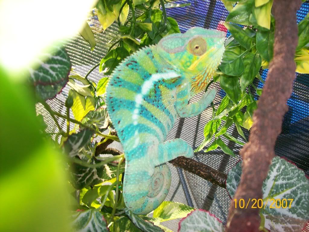 000_0007_00.jpg