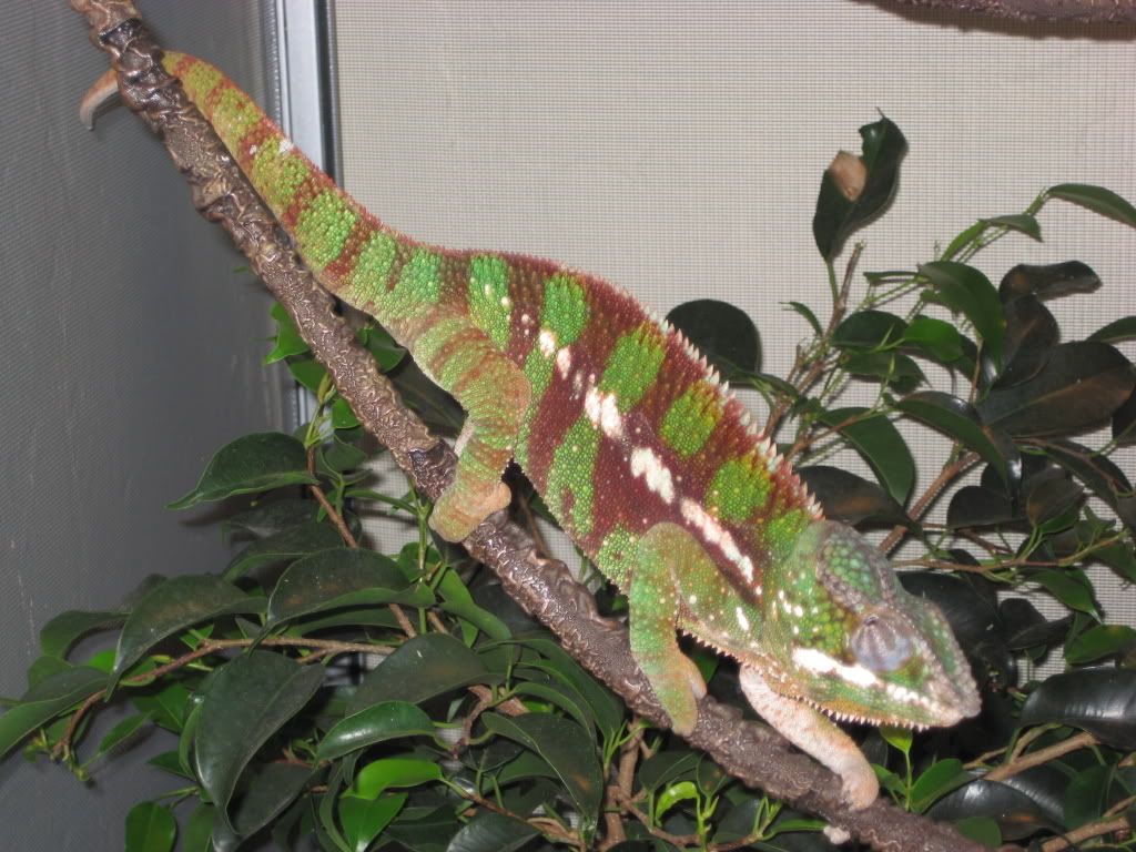 IMG_8134.jpg