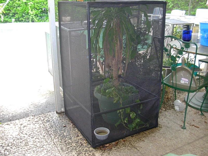 DSCN4365.jpg