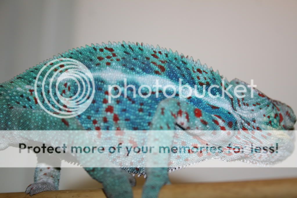 ambanjaboys024.jpg