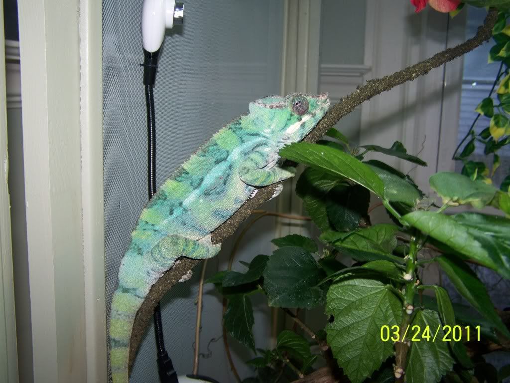 100_4456.jpg