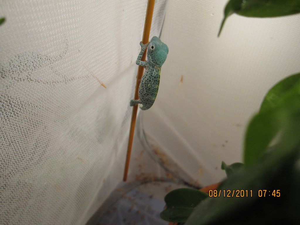6036530371_c6f88bde46_b.jpg
