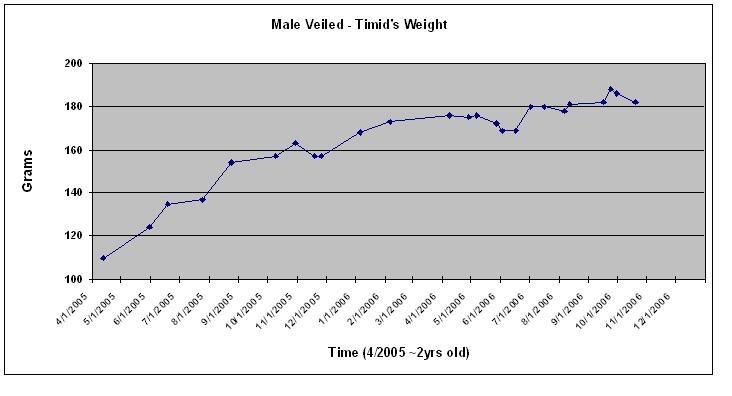 Weight3-1.jpg
