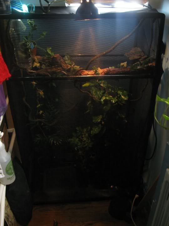 cage1.jpg