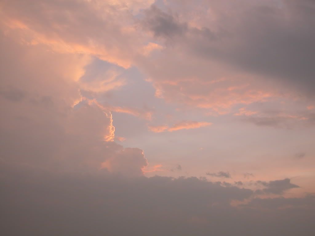 DSCN0117.jpg