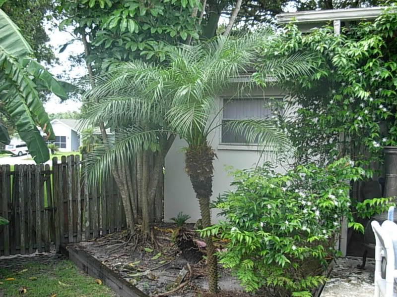 DSCN4368.jpg