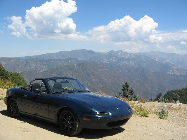 IMG_3131RS.jpg