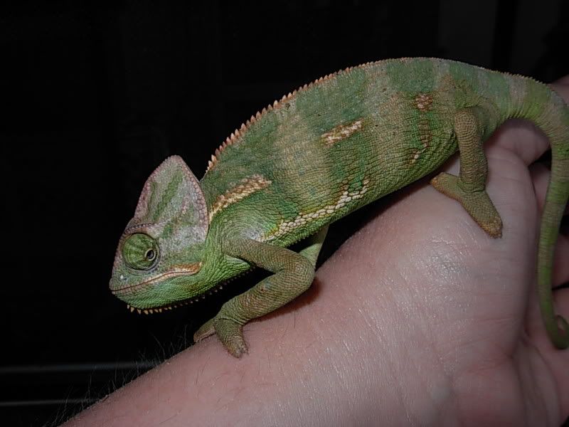 DSCN3463.jpg