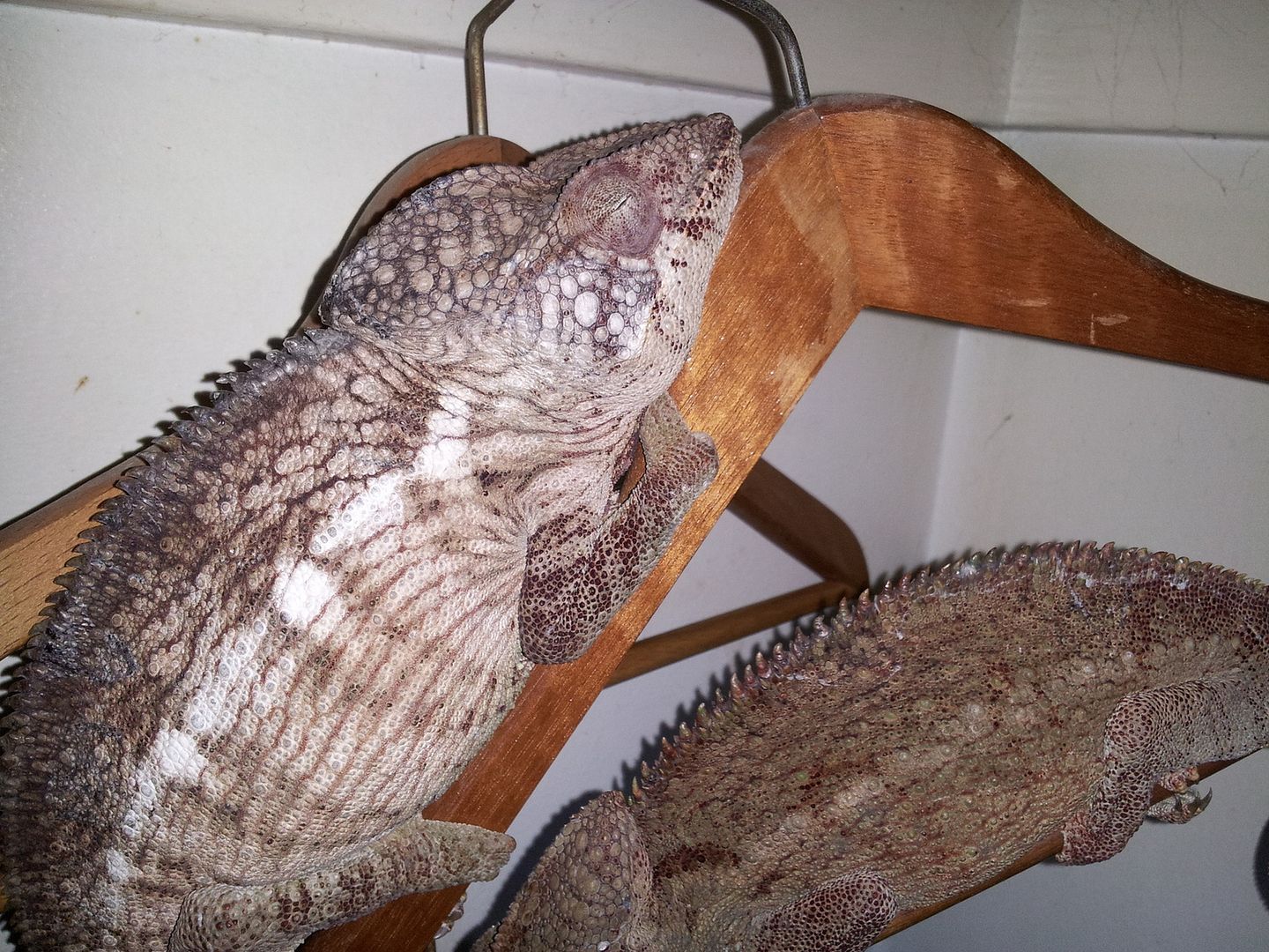 20120802_035416.jpg