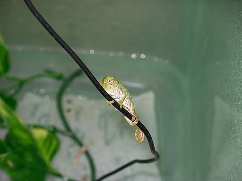 DSCN0280.jpg