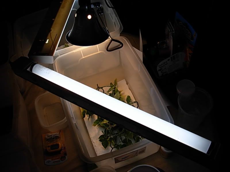 DSCN6105.jpg