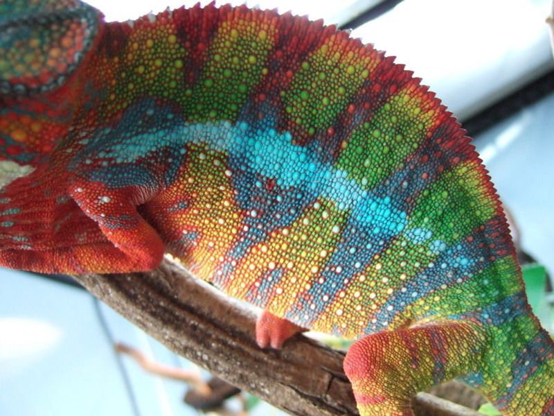 DSCF5341.jpg