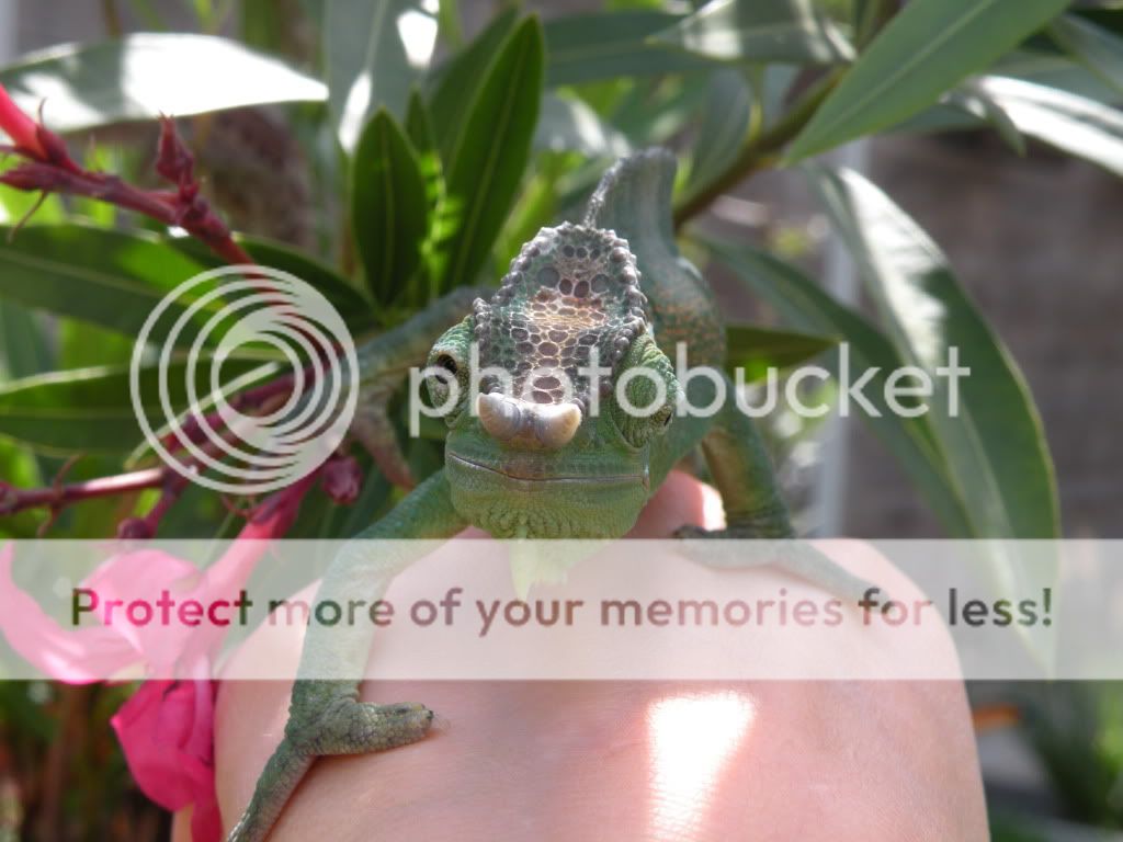 DSCN8227.jpg