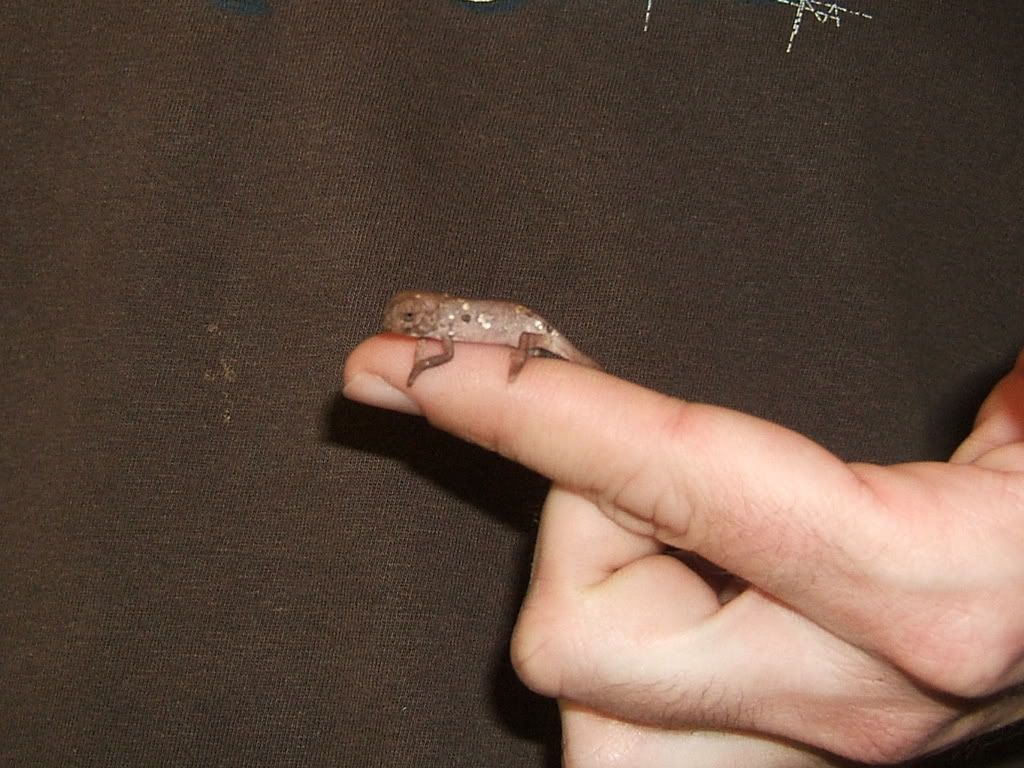 DSCF7721.jpg