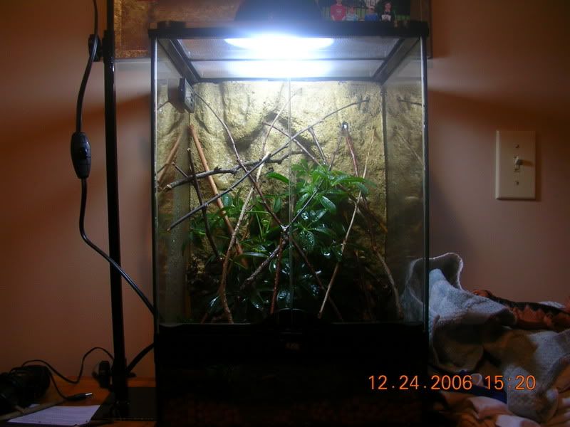 DSCN3396.jpg