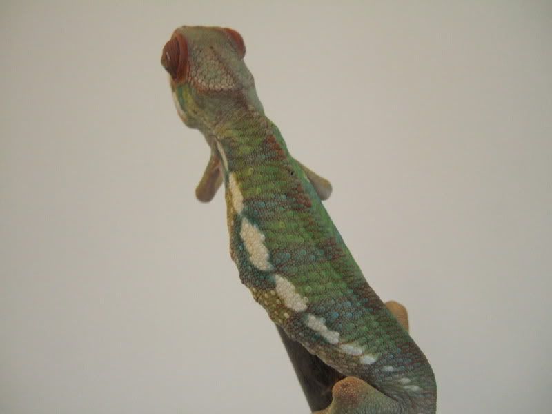 DSCF4138.jpg