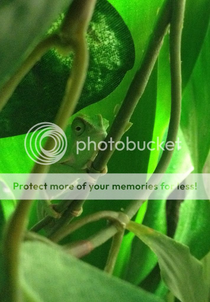 eb640760.jpg