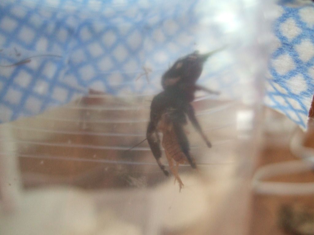 DSCF5699.jpg
