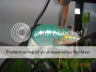 DSCN0623.jpg
