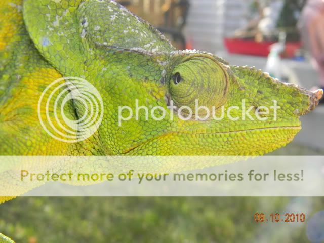 20101009_38.jpg