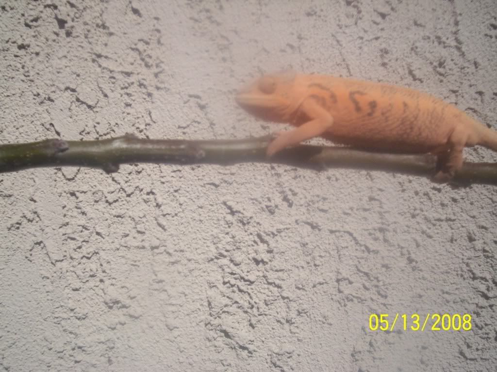 100_2315.jpg