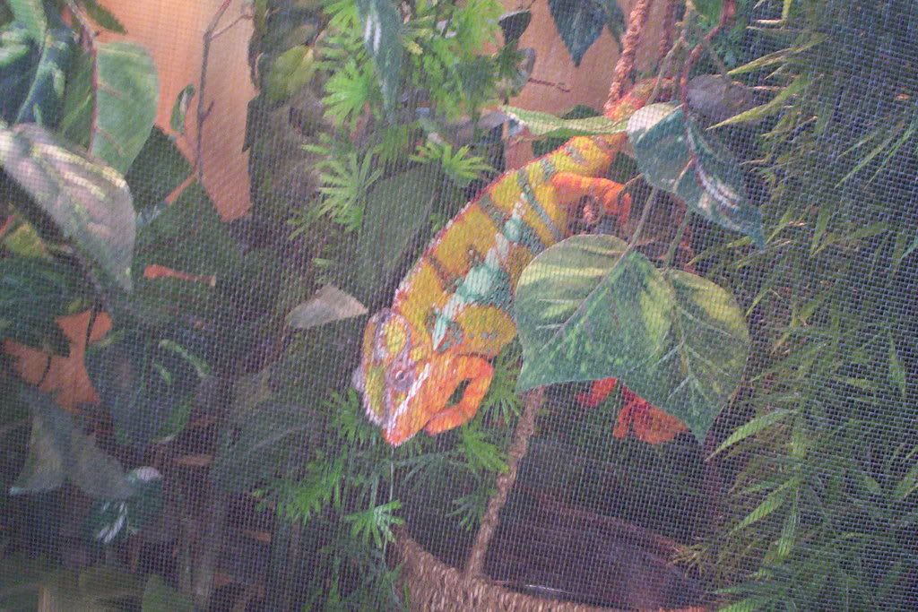 100_6149.jpg
