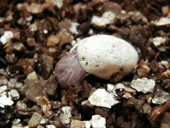 smaller4.jpg