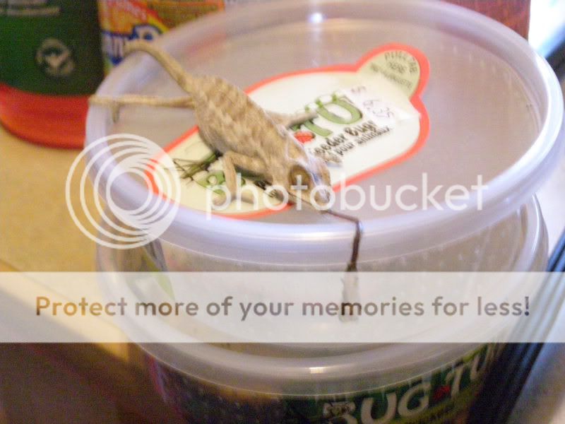 ImportedPhotos00035.jpg