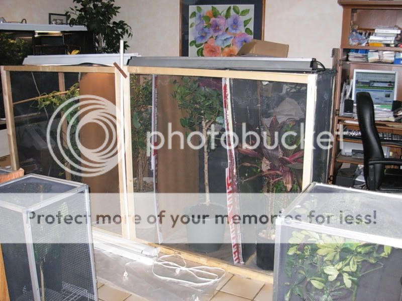 DSCN4351.jpg