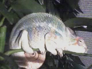 09-18-08_22161.jpg