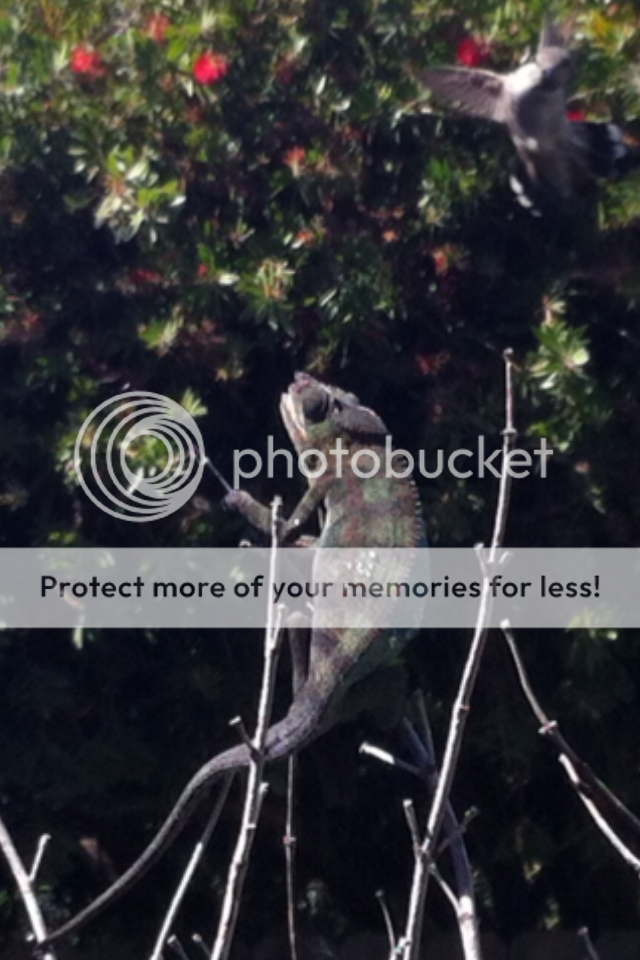 photo-2.png