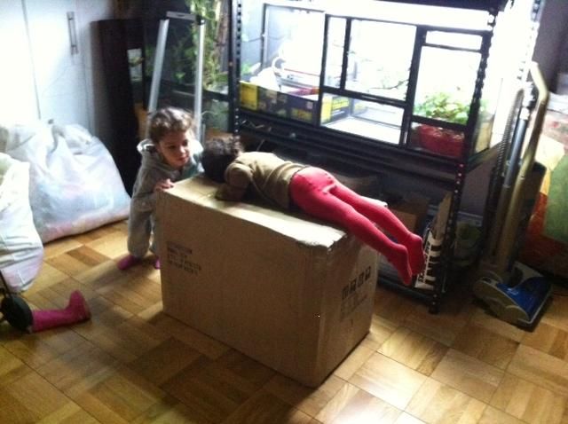 DIY.jpg
